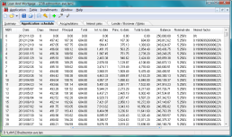Amortization Schedule Details