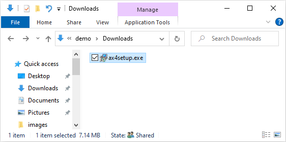 ax4setup.exe in Windows Explorer