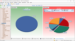 Income & Expenses Charts