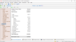 Income & Expenses List